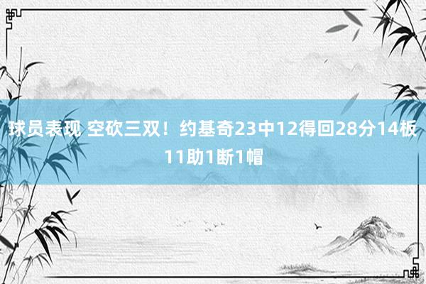 球员表现 空砍三双！约基奇23中12得回28分14板11助1断1帽