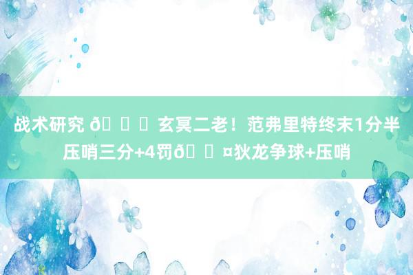 战术研究 🚀玄冥二老！范弗里特终末1分半压哨三分+4罚😤狄龙争球+压哨