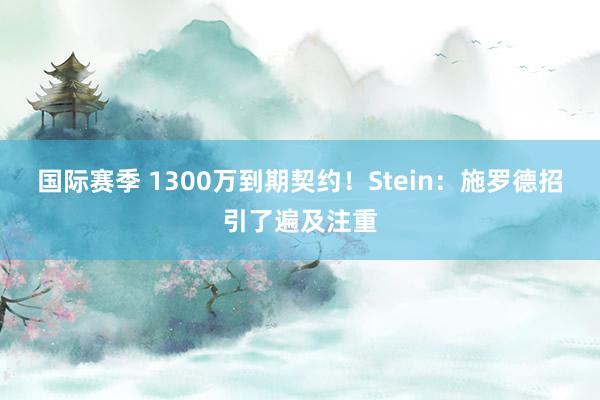 国际赛季 1300万到期契约！Stein：施罗德招引了遍及注重