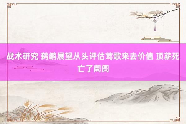 战术研究 鹈鹕展望从头评估莺歌来去价值 顶薪死亡了阛阓