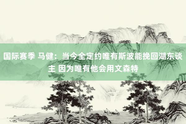 国际赛季 马健：当今全定约唯有斯波能挽回湖东谈主 因为唯有他会用文森特