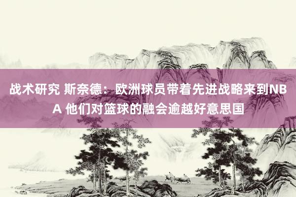 战术研究 斯奈德：欧洲球员带着先进战略来到NBA 他们对篮球的融会逾越好意思国