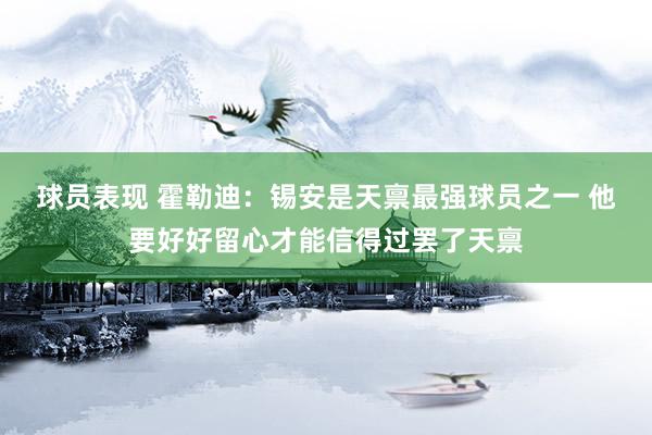 球员表现 霍勒迪：锡安是天禀最强球员之一 他要好好留心才能信得过罢了天禀