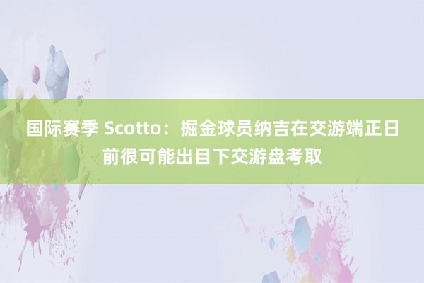 国际赛季 Scotto：掘金球员纳吉在交游端正日前很可能出目下交游盘考取