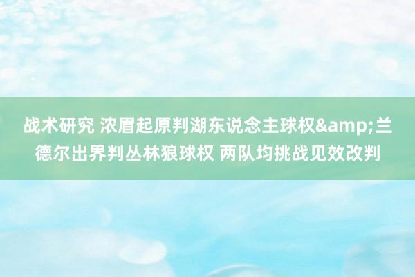 战术研究 浓眉起原判湖东说念主球权&兰德尔出界判丛林狼球权 两队均挑战见效改判