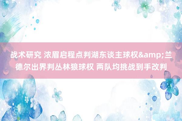 战术研究 浓眉启程点判湖东谈主球权&兰德尔出界判丛林狼球权 两队均挑战到手改判